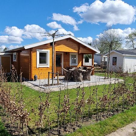 Nieuw - Luxe Blokhut Chalet In Bosrijke Omgeving Anloo Buitenkant foto