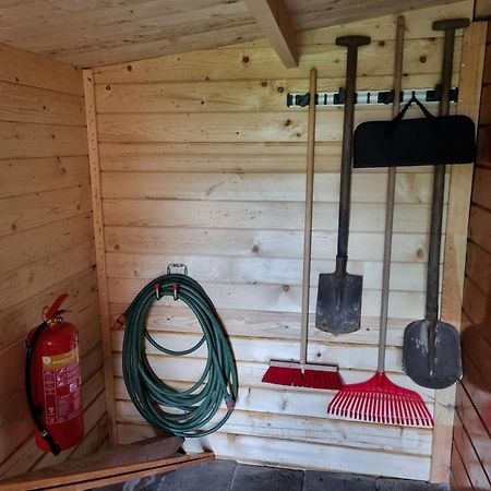 Nieuw - Luxe Blokhut Chalet In Bosrijke Omgeving Anloo Buitenkant foto