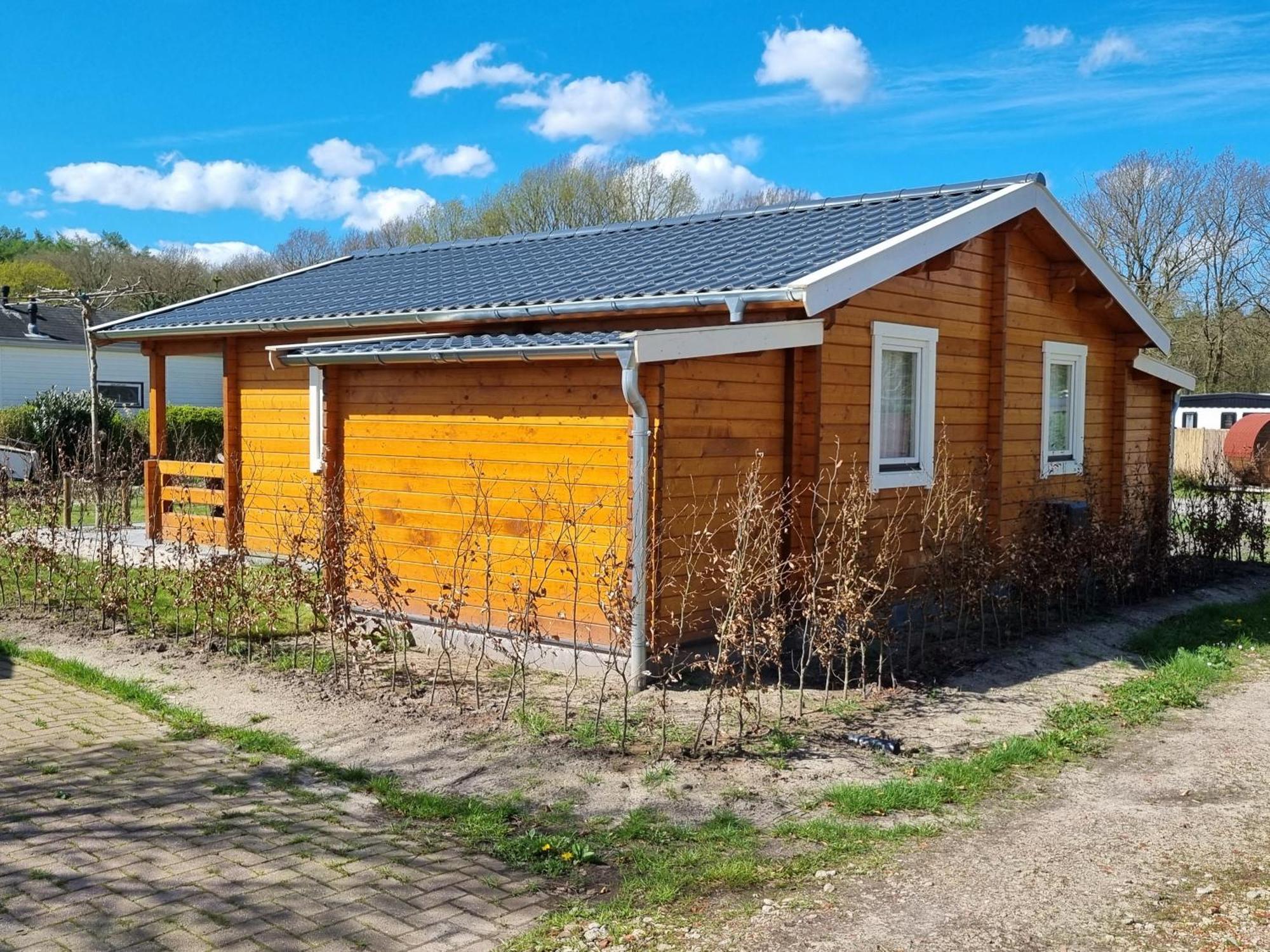 Nieuw - Luxe Blokhut Chalet In Bosrijke Omgeving Anloo Buitenkant foto