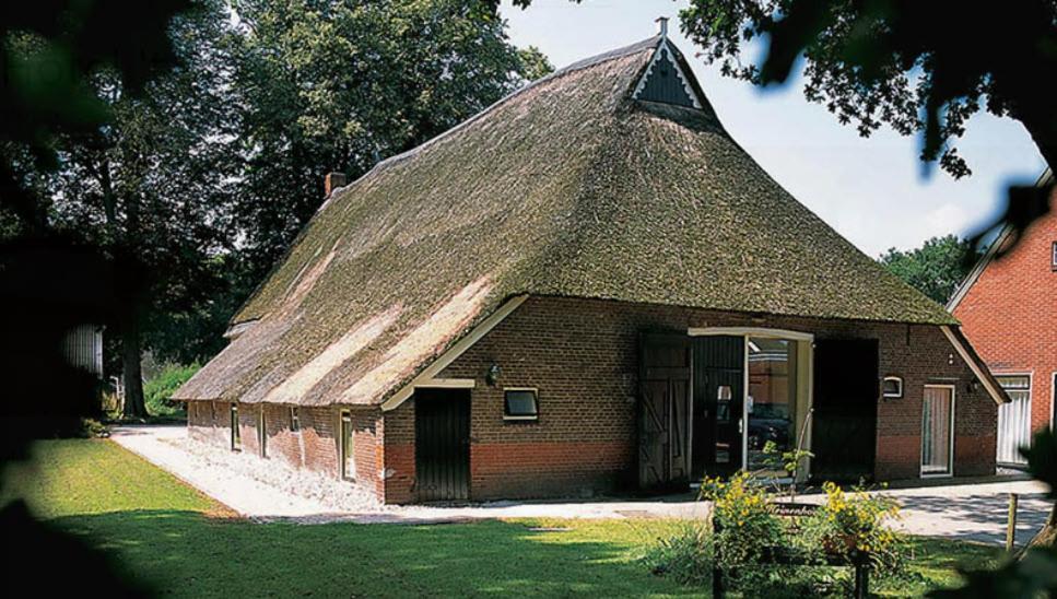 Nieuw - Luxe Blokhut Chalet In Bosrijke Omgeving Anloo Buitenkant foto
