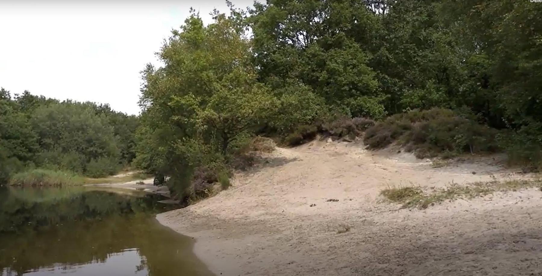 Nieuw - Luxe Blokhut Chalet In Bosrijke Omgeving Anloo Buitenkant foto