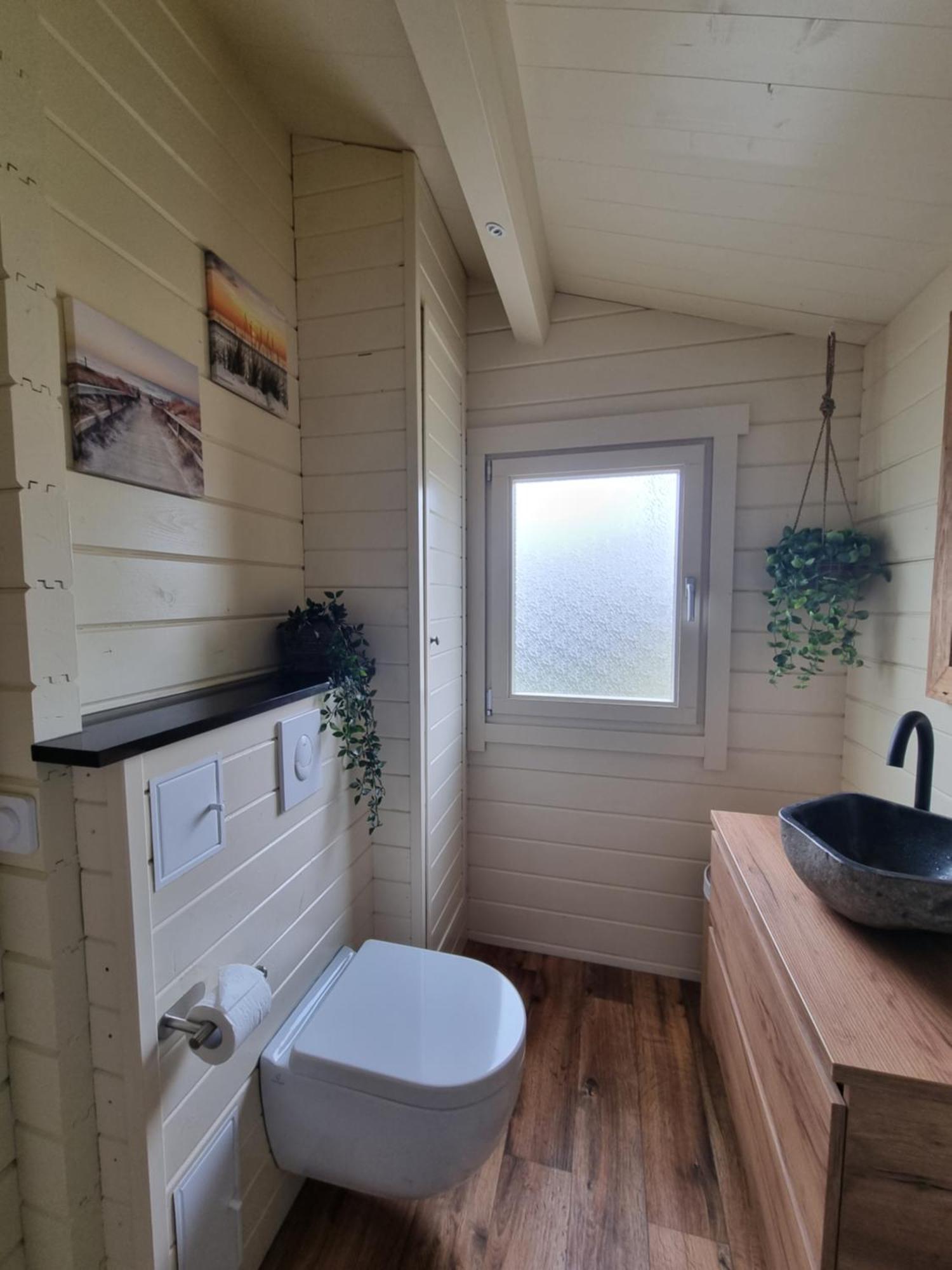 Nieuw - Luxe Blokhut Chalet In Bosrijke Omgeving Anloo Buitenkant foto