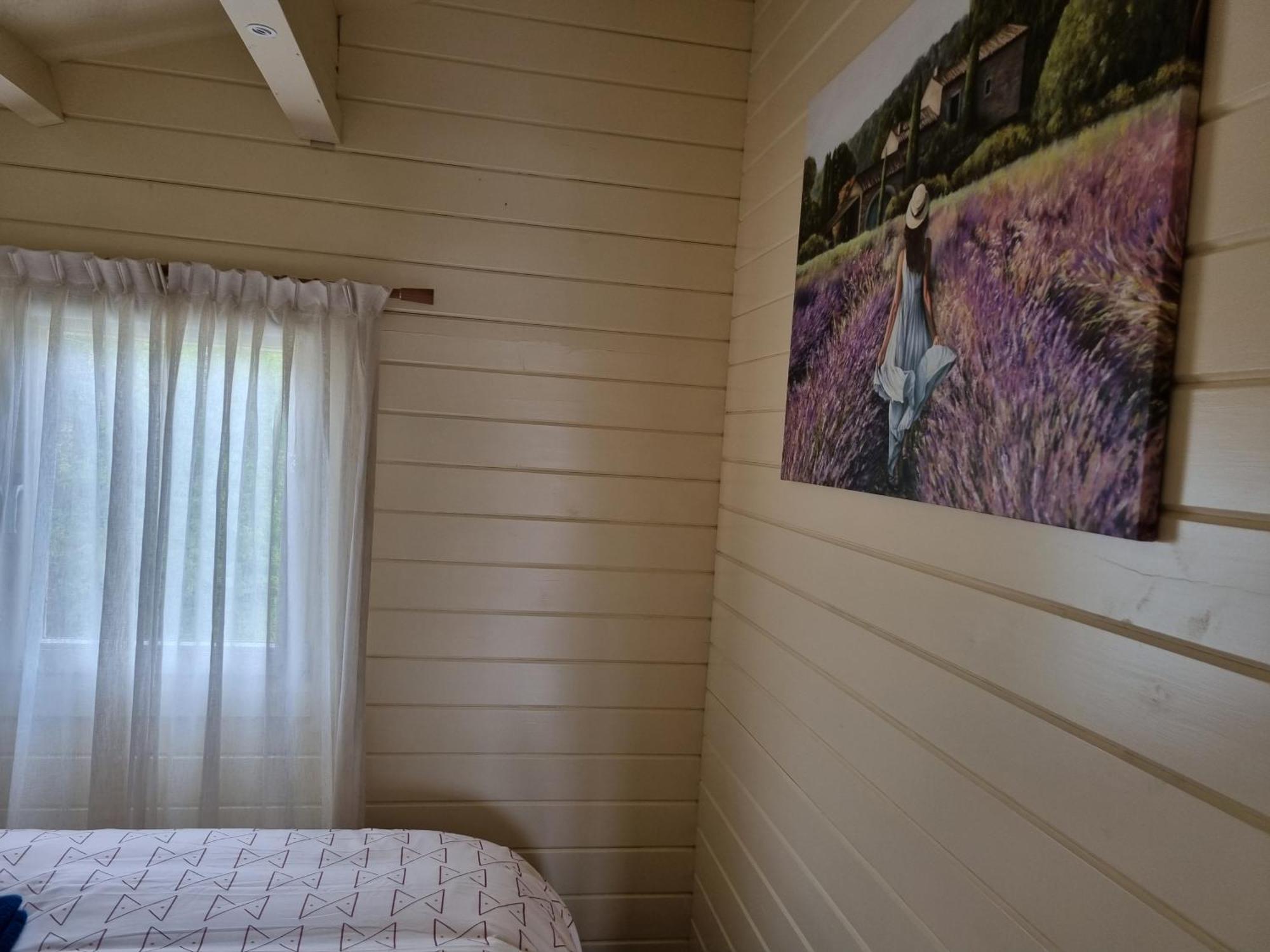 Nieuw - Luxe Blokhut Chalet In Bosrijke Omgeving Anloo Buitenkant foto
