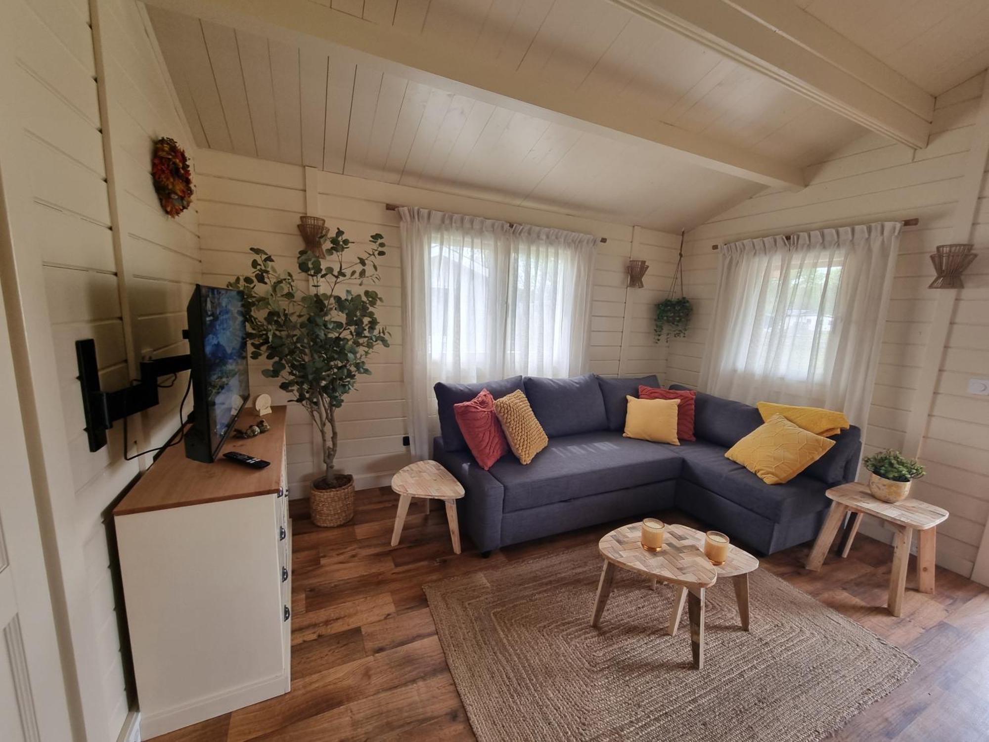 Nieuw - Luxe Blokhut Chalet In Bosrijke Omgeving Anloo Buitenkant foto